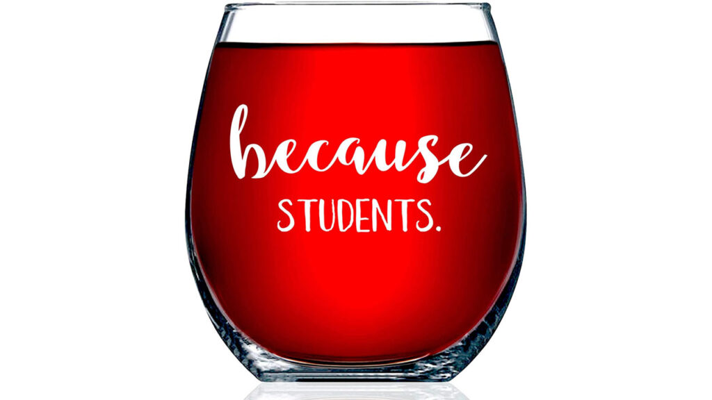 Because Students 15 Ounce Funny Stemless Wine Glass