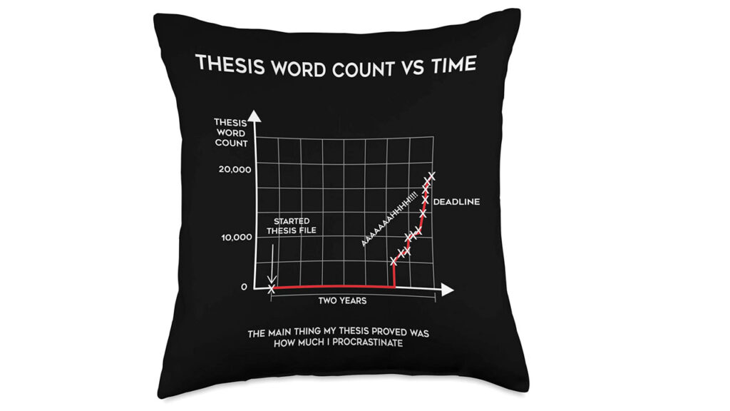 Paper Pillow - gifts for phd students
