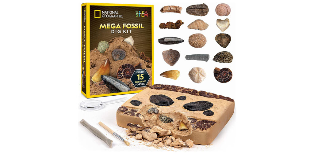 National Geographic Mega Fossil Mine